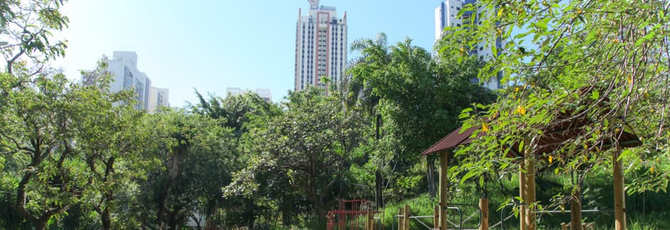 city image