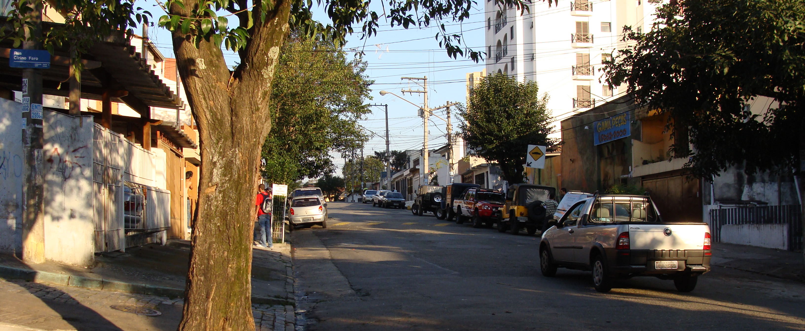 dedetizadora na vila gumercindo